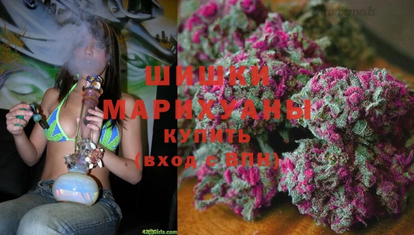 прущие крисы Беломорск