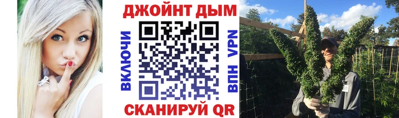 Конопля конопля Лабинск